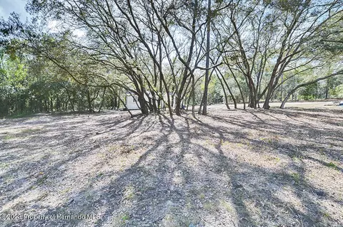 384 E Katie, Hernando, FL 34442 photo 37