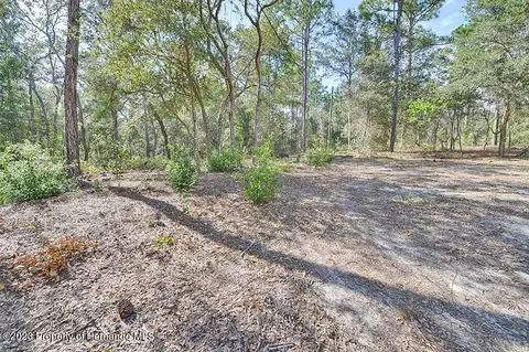 384 E Katie, Hernando, FL 34442 photo 34