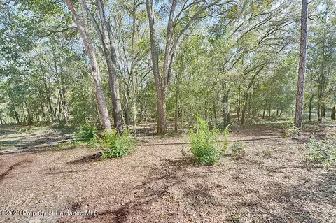 384 E Katie, Hernando, FL 34442 photo 29