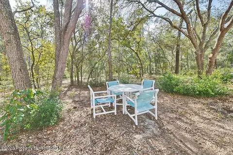 384 E Katie, Hernando, FL 34442 photo 28
