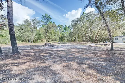 384 E Katie, Hernando, FL 34442 photo 35