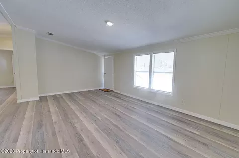 384 E Katie, Hernando, FL 34442 photo 7