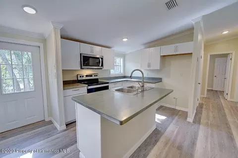 384 E Katie, Hernando, FL 34442 photo 10