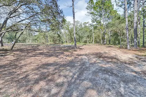 384 E Katie, Hernando, FL 34442 photo 33