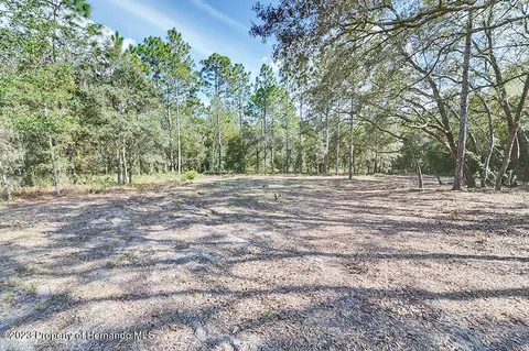 384 E Katie, Hernando, FL 34442 photo 32
