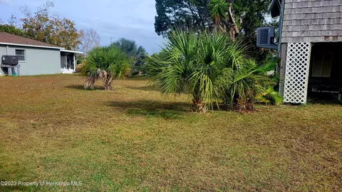 3282 Sea Grape, Hernando Beach, FL 34607 photo 23