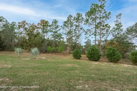 5437 Vardon, Spring Hill, FL 34609 photo 47
