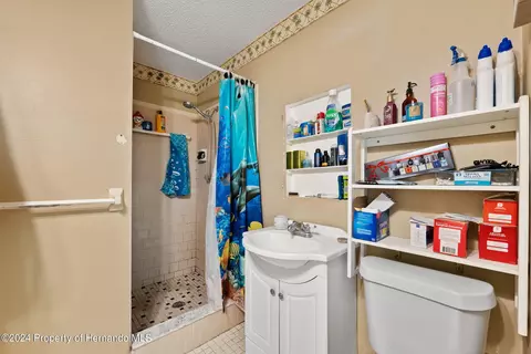 11112 Blythville, Spring Hill, FL 34608 photo 19