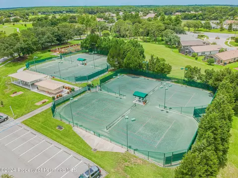 11105 Eagle Bnd, Hudson, FL 34667 photo 52