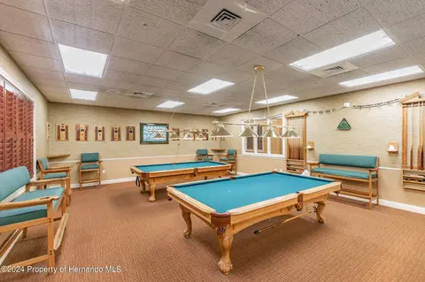 11105 Eagle Bnd, Hudson, FL 34667 photo 42