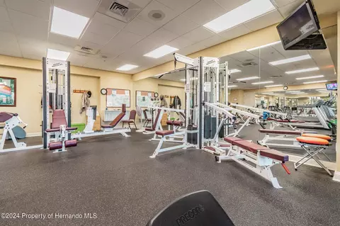 11105 Eagle Bnd, Hudson, FL 34667 photo 45