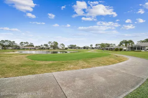 11105 Eagle Bnd, Hudson, FL 34667 photo 34