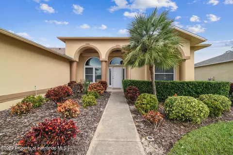11105 Eagle Bnd, Hudson, FL 34667 photo 2