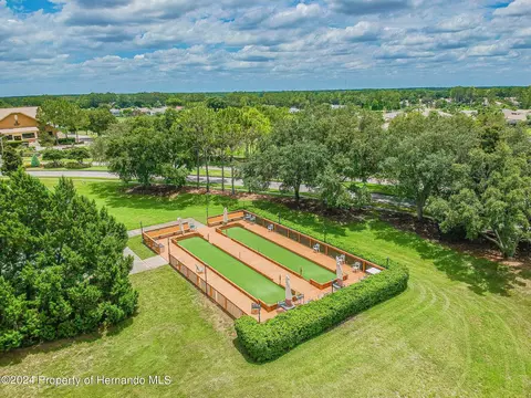 11105 Eagle Bnd, Hudson, FL 34667 photo 53