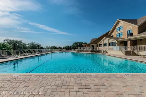11105 Eagle Bnd, Hudson, FL 34667 photo 50