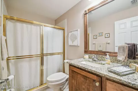 11105 Eagle Bnd, Hudson, FL 34667 photo 26