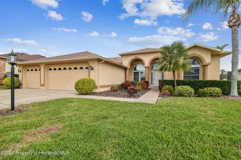 11105 Eagle Bnd, Hudson, FL 34667 photo 1