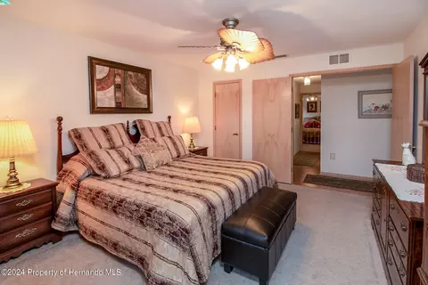 11232 Rainbow Woods, Spring Hill, FL 34609 photo 31