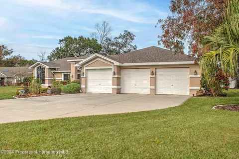 11232 Rainbow Woods, Spring Hill, FL 34609 photo 5