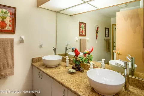 11232 Rainbow Woods, Spring Hill, FL 34609 photo 32