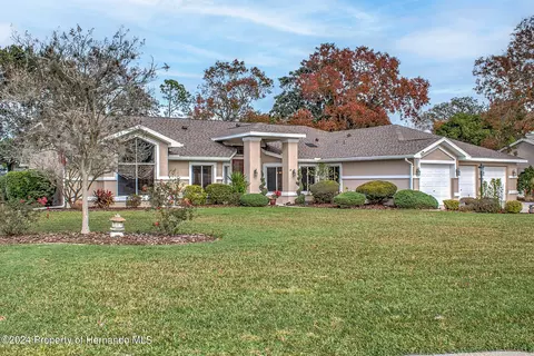 11232 Rainbow Woods, Spring Hill, FL 34609 photo 4