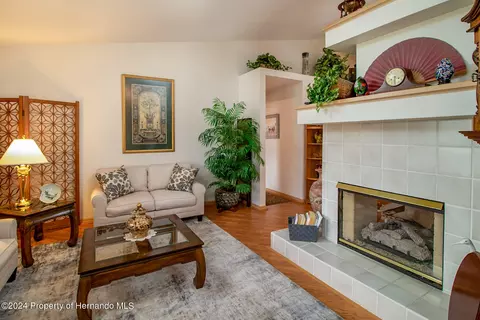 11232 Rainbow Woods, Spring Hill, FL 34609 photo 12