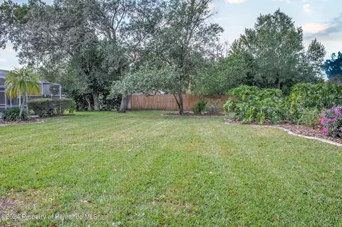 11232 Rainbow Woods, Spring Hill, FL 34609 photo 44