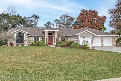 11232 Rainbow Woods, Spring Hill, FL 34609 photo 1