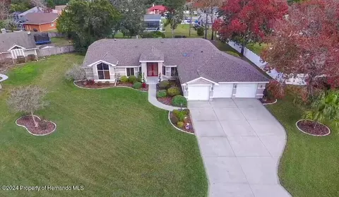 11232 Rainbow Woods, Spring Hill, FL 34609 photo 2