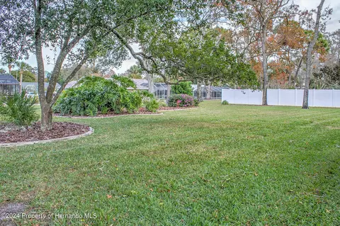 11232 Rainbow Woods, Spring Hill, FL 34609 photo 43