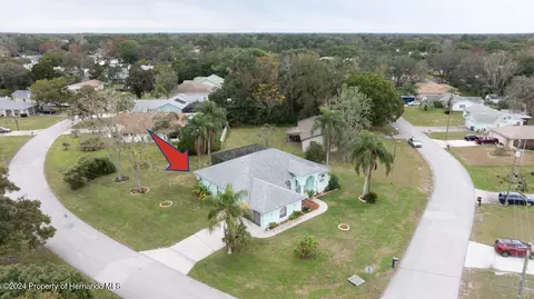 9198 Elida, Spring Hill, FL 34608 photo 39