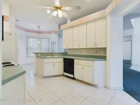 9198 Elida, Spring Hill, FL 34608 photo 8