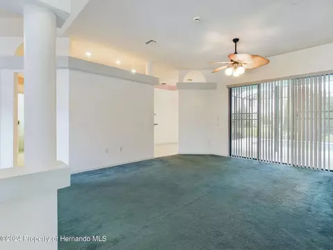 9198 Elida, Spring Hill, FL 34608 photo 19