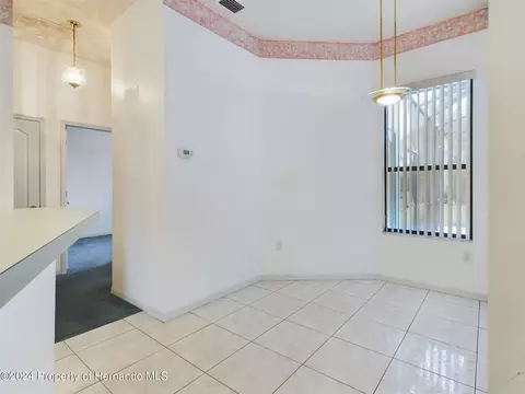 9198 Elida, Spring Hill, FL 34608 photo 23
