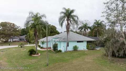9198 Elida, Spring Hill, FL 34608 photo 33