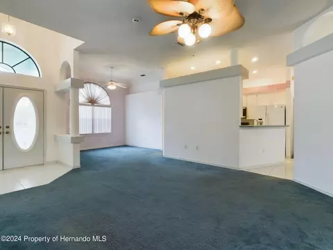 9198 Elida, Spring Hill, FL 34608 photo 20