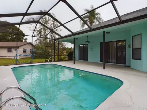9198 Elida, Spring Hill, FL 34608 photo 30