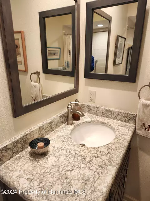 6373 Pine Mdws, Spring Hill, FL 34606 photo 21