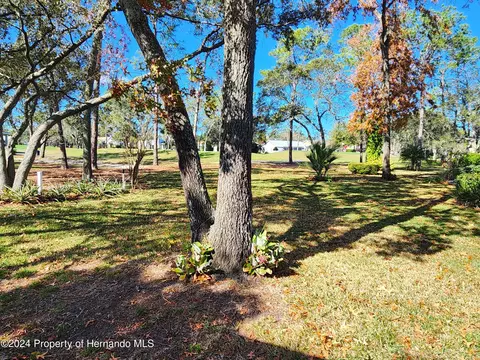 6373 Pine Mdws, Spring Hill, FL 34606 photo 27