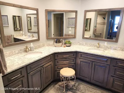 6373 Pine Mdws, Spring Hill, FL 34606 photo 16