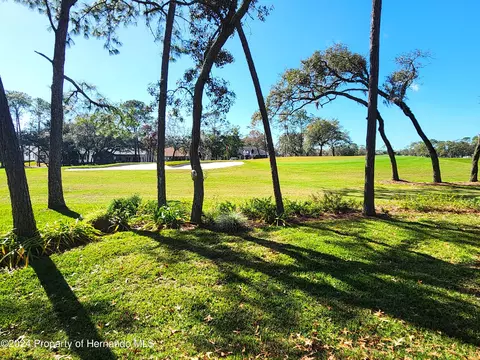 6373 Pine Mdws, Spring Hill, FL 34606 photo 24