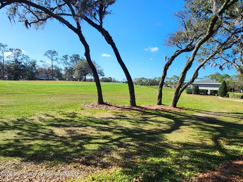 6373 Pine Mdws, Spring Hill, FL 34606 photo 30