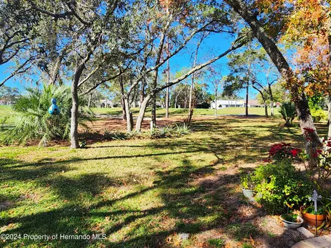 6373 Pine Mdws, Spring Hill, FL 34606 photo 26