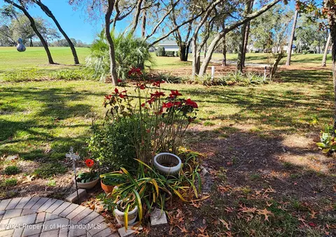 6373 Pine Mdws, Spring Hill, FL 34606 photo 28