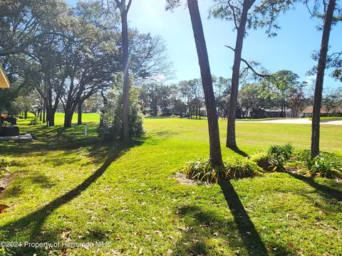 6373 Pine Mdws, Spring Hill, FL 34606 photo 25