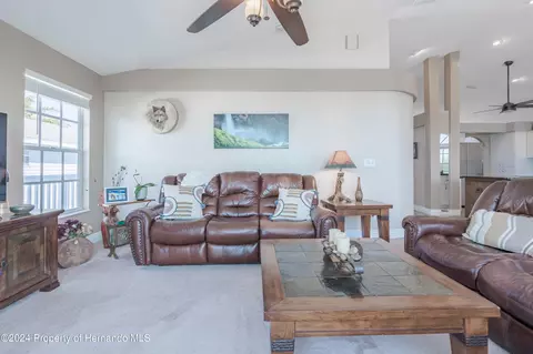 4461 Jacona, Hernando Beach, FL 34607 photo 12