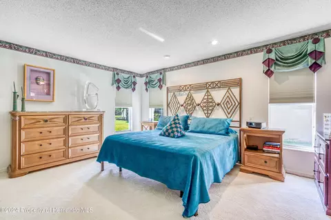10045 Eagle Bnd, Hudson, FL 34667 photo 35
