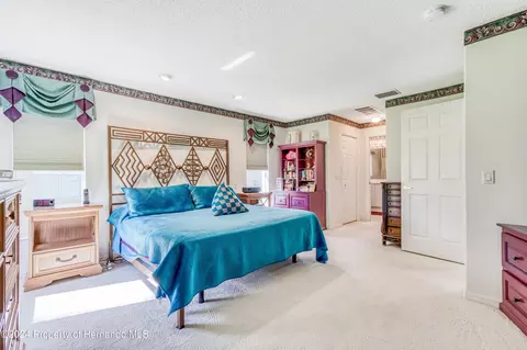 10045 Eagle Bnd, Hudson, FL 34667 photo 36