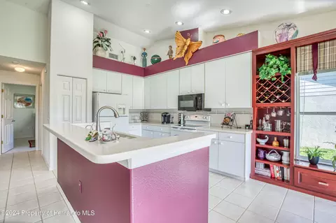 10045 Eagle Bnd, Hudson, FL 34667 photo 21