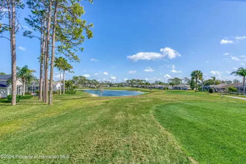 10045 Eagle Bnd, Hudson, FL 34667 photo 53